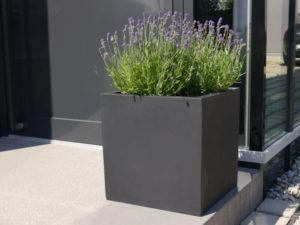 Revox-Botanic-Invisible_Speaker-Pflanzentopf-Lavendel